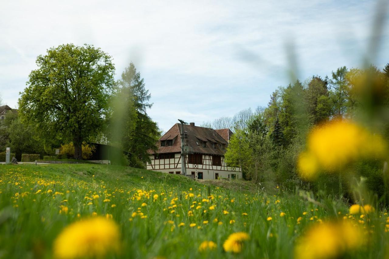Hotel & Tagungszentrum Schloss Hohenfels Hohenfels  Eksteriør billede
