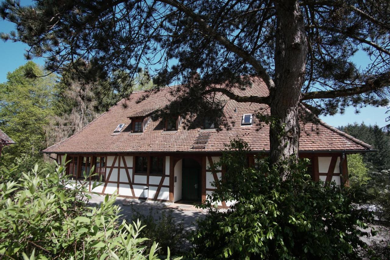 Hotel & Tagungszentrum Schloss Hohenfels Hohenfels  Eksteriør billede